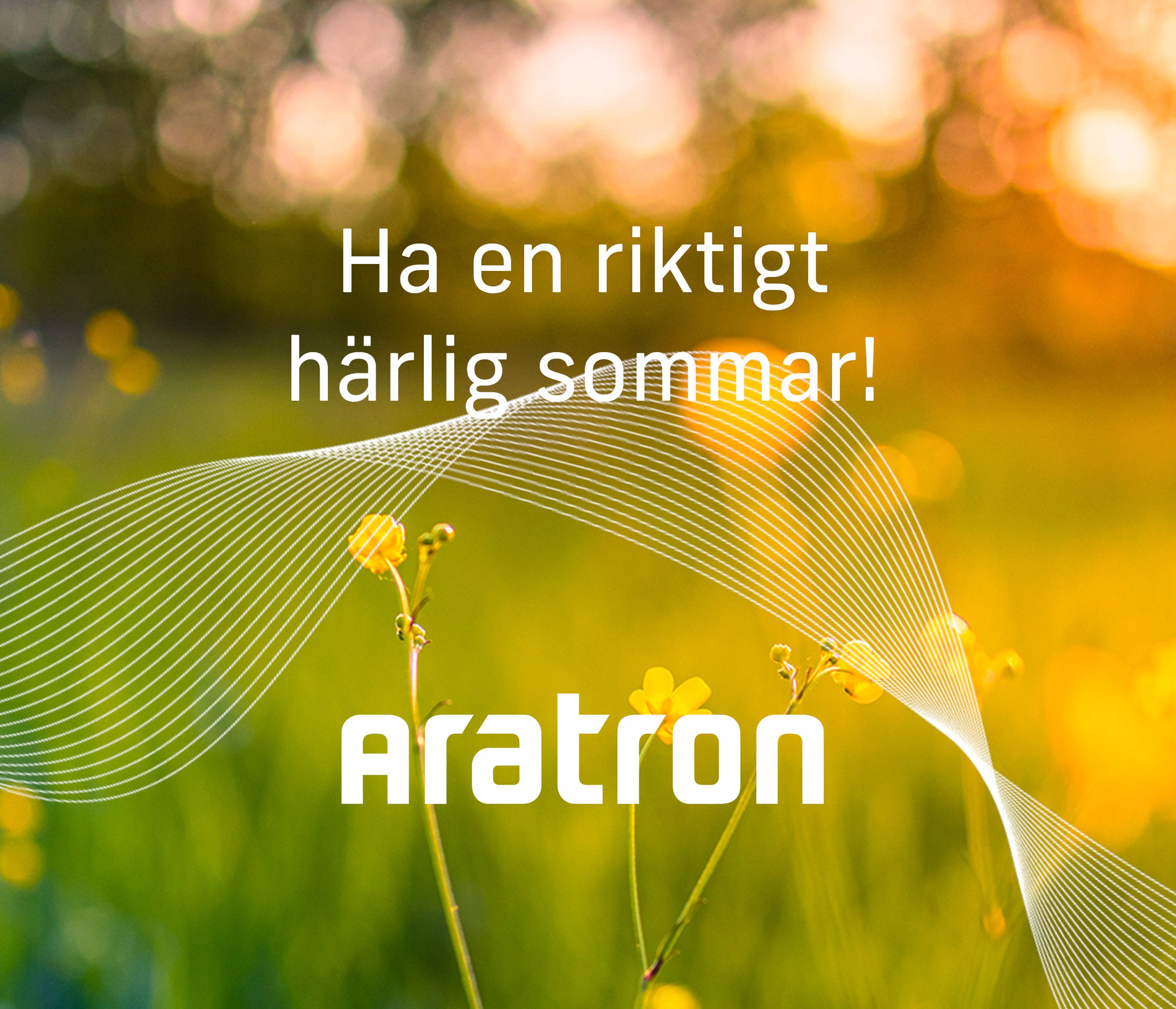 Ha en härlig sommar!