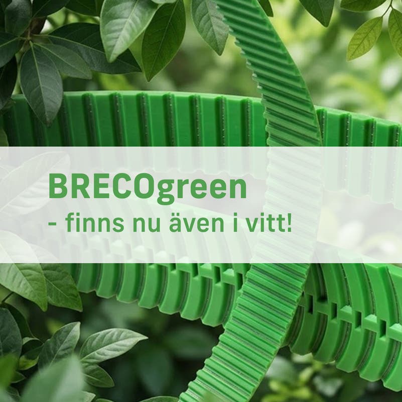 BRECOgreen – nu även tillgänglig som vit rem!